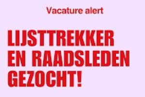 Toekomstige raadsleden gezocht voor Hilversum